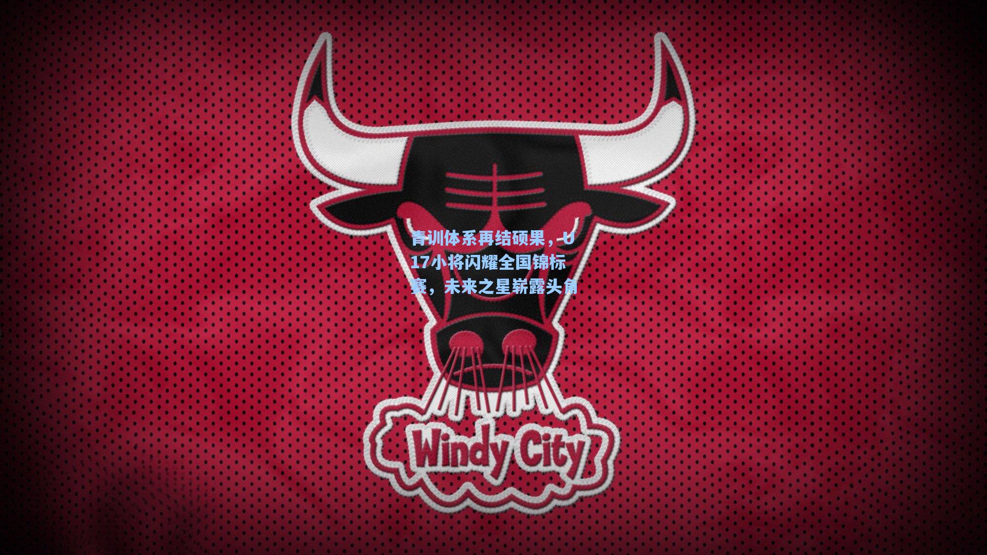 青训体系再结硕果，U17小将闪耀全国锦标赛，未来之星崭露头角